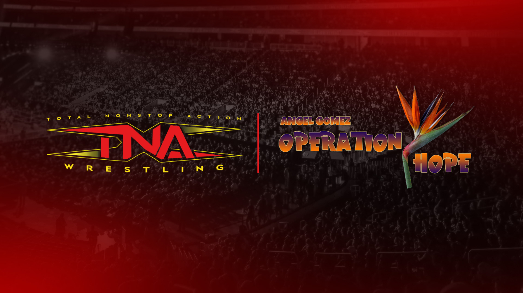 TNA Wrestling Teams With Operation H.O.P.E. For Multiple Charity Initiatives In Conjunction With TNA Live Events In El Paso, December 5-7