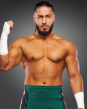 Mustafa Ali