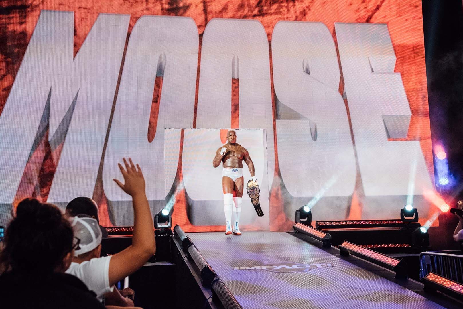 A Decade of Moose in TNA