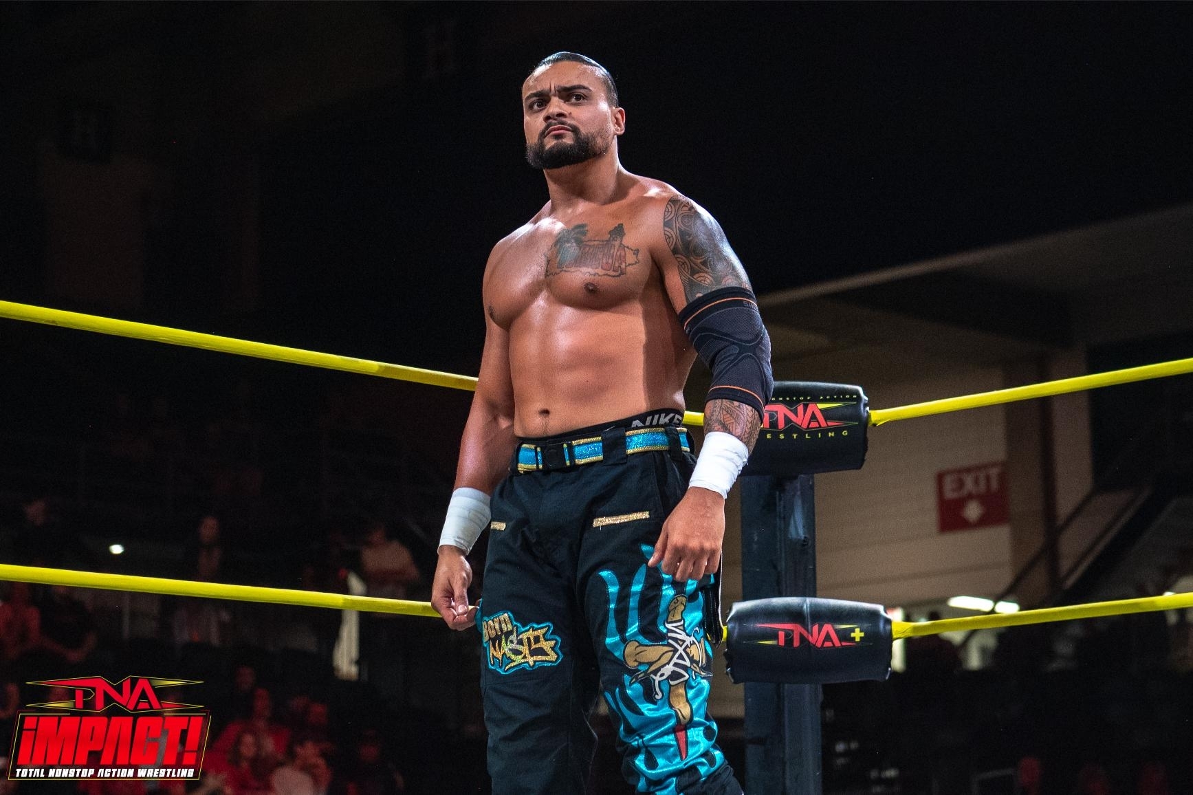 iMPACT! November 6, 2025 - Open Fight Night