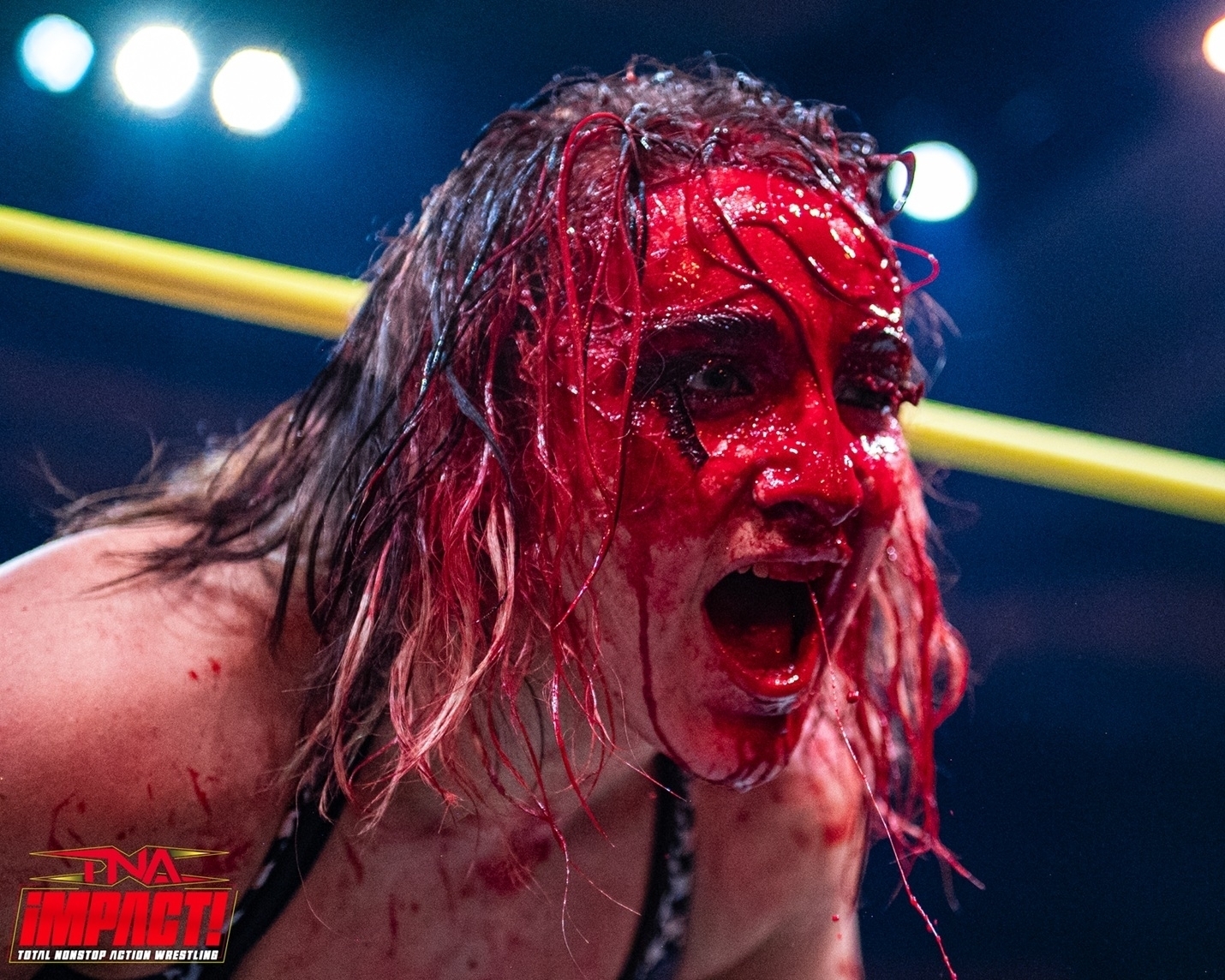 Best of 2025: A Historic Year for TNA Wrestling