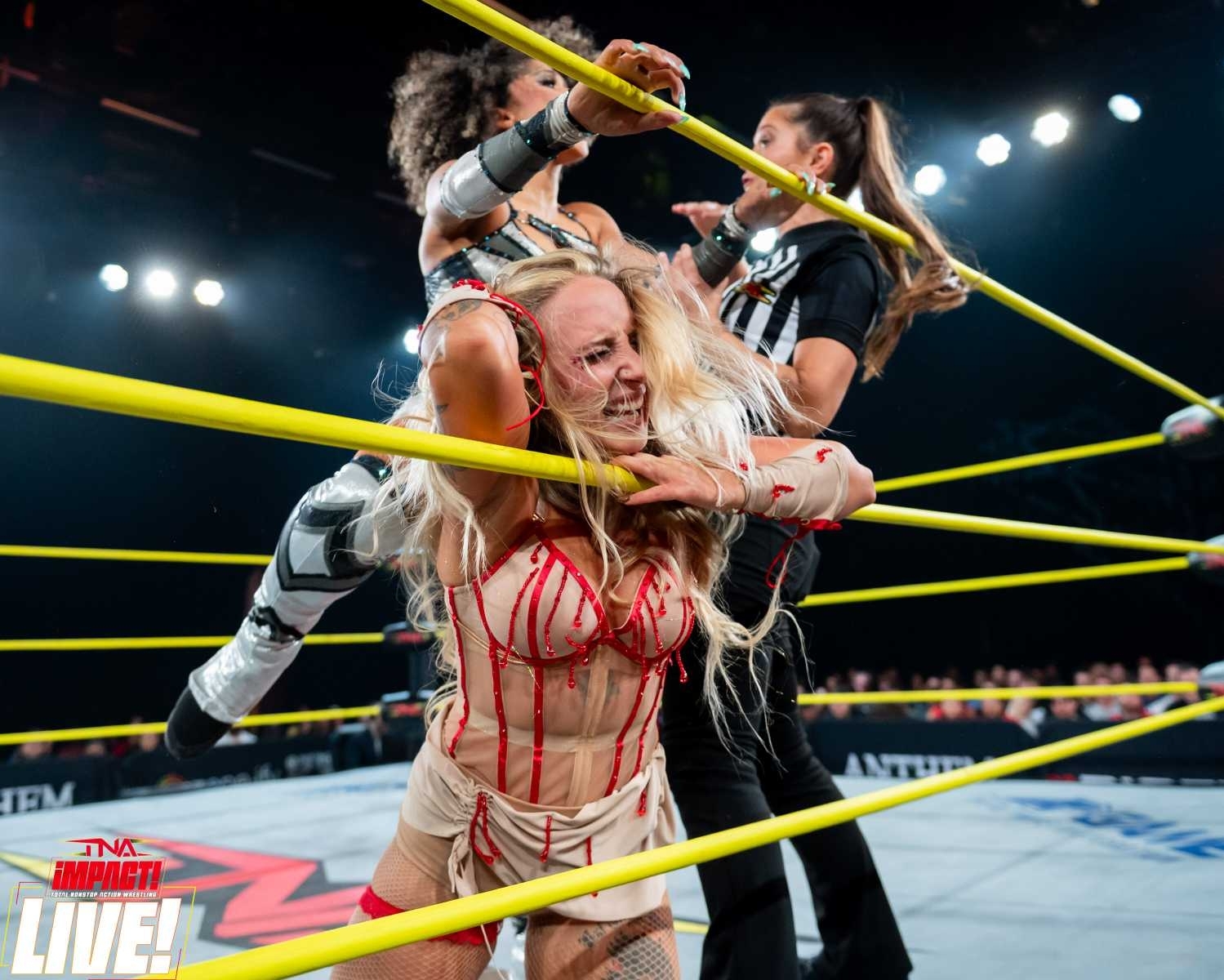 iMPACT! LIVE: November 13, 2025