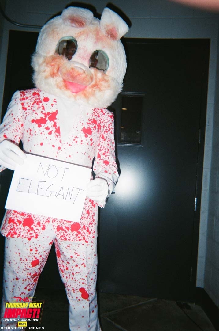 Guest Photography Series: The Elegance Brand