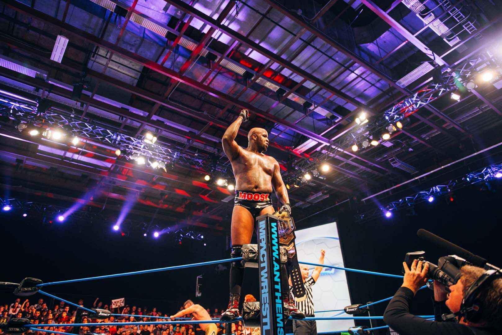 A Decade of Moose in TNA