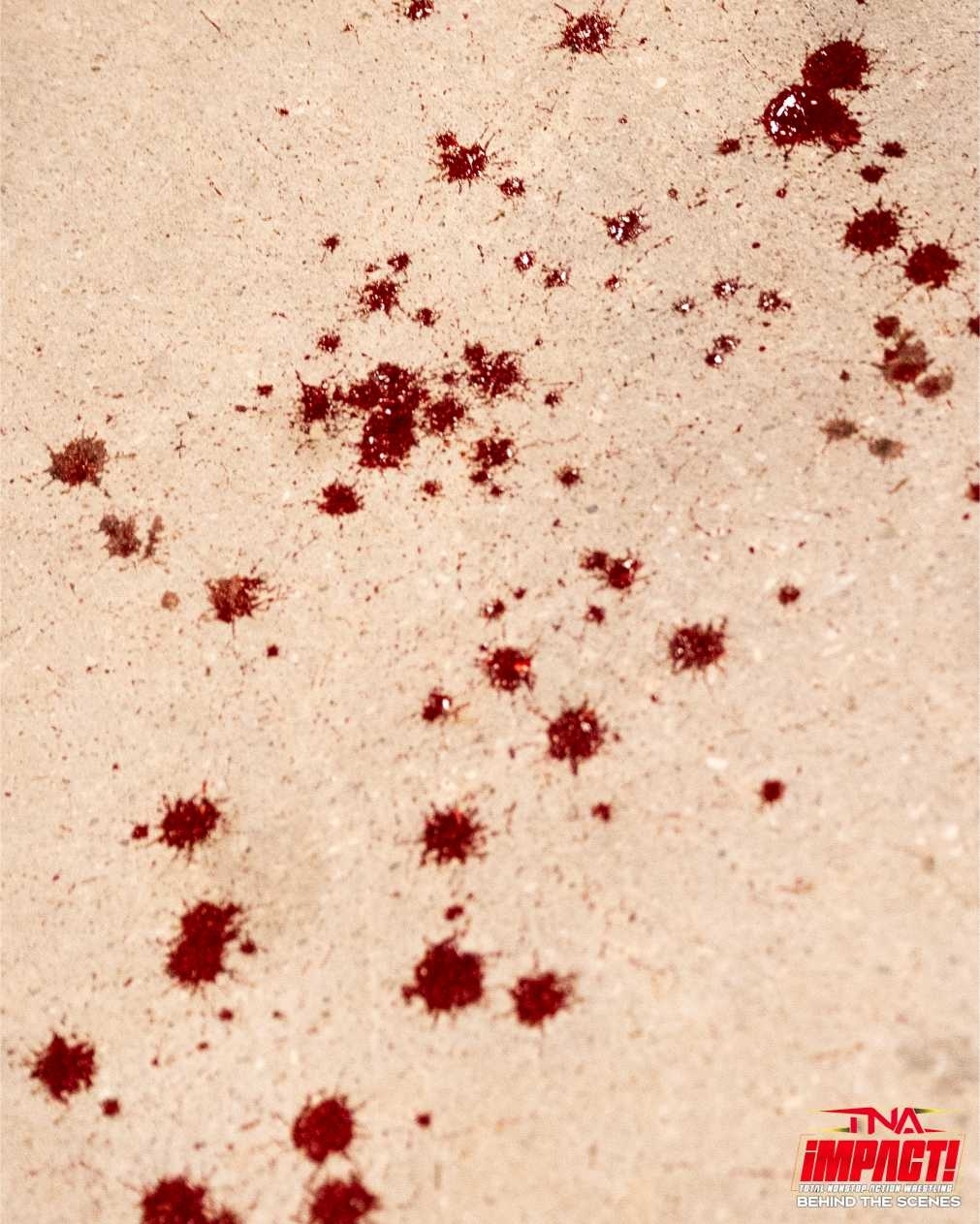 Spotlight: Dani Luna vs. Indi Hartwell - Dog Collar Match