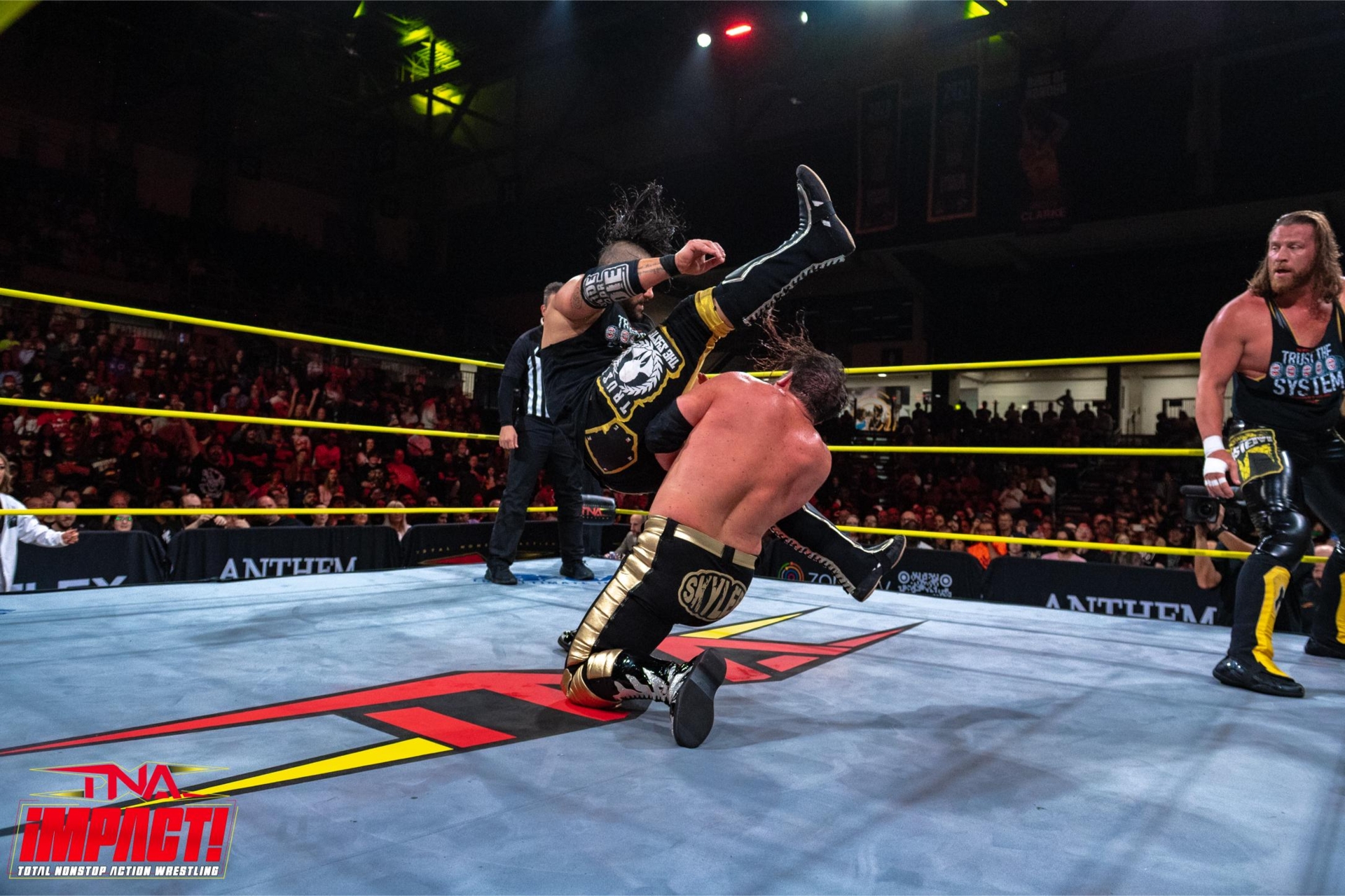 100cc86ae5e1432c8f3a50a7b5052184 1